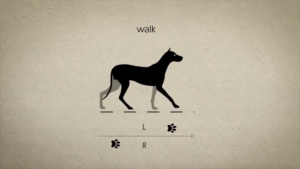 Dog gaits bot